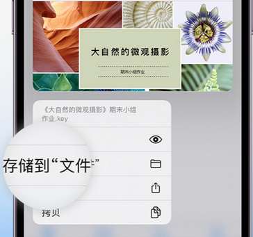 香坊apple维修中心分享iPhone文件应用中存储和找到下载文件