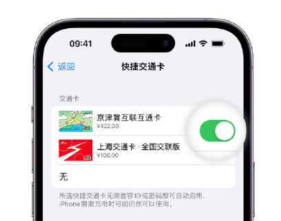 香坊apple维修点分享iPhone上更换Apple Pay快捷交通卡手绘卡面 