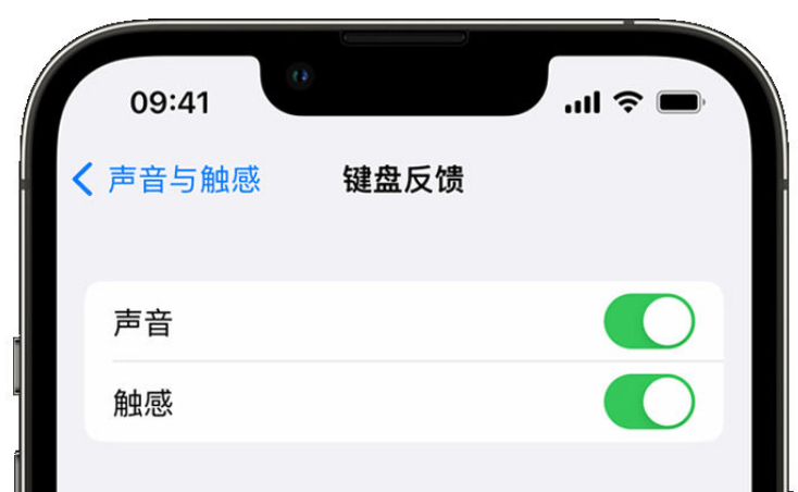 香坊苹果手机维修分享iPhone 14触感键盘使用方法 