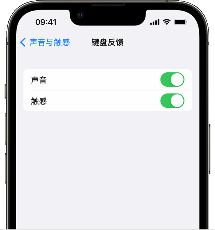 香坊苹果14维修店分享如何在 iPhone 14 机型中使用触感键盘 