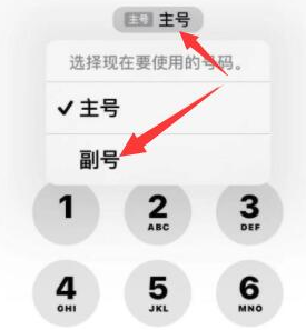 香坊苹果14维修店分享iPhone 14 Pro Max使用副卡打电话的方法 