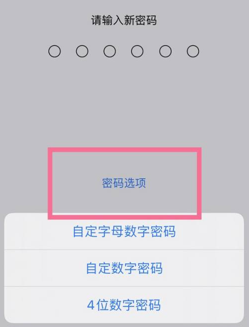 香坊苹果14维修分享iPhone 14plus设置密码的方法 