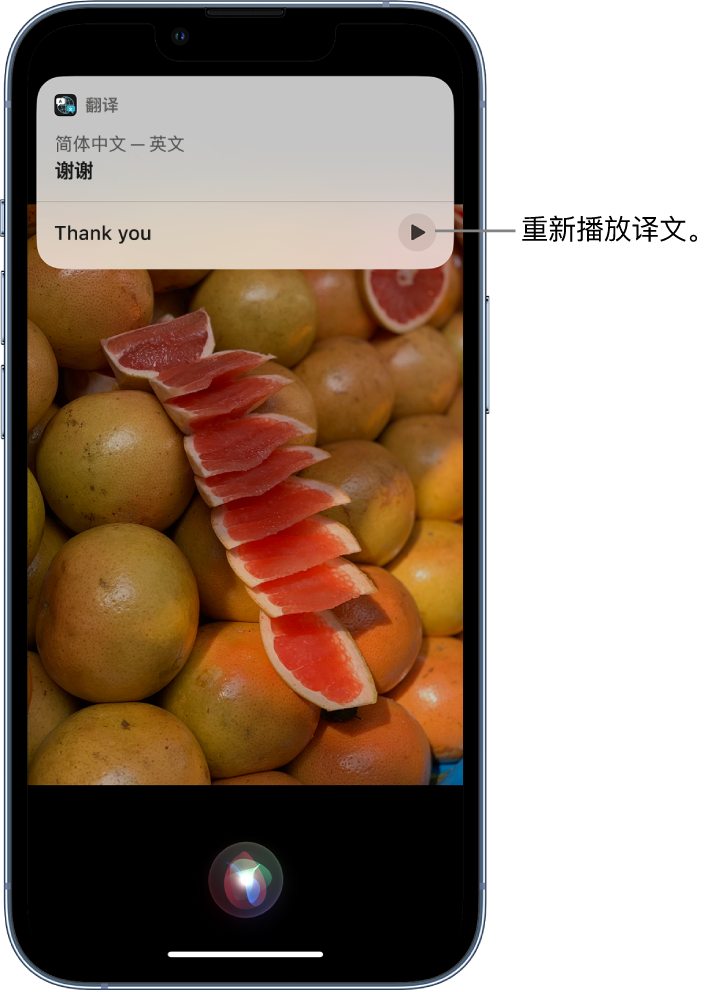 香坊苹果14维修分享 iPhone 14 机型中使用 Siri：了解 Siri 能帮你做什么 