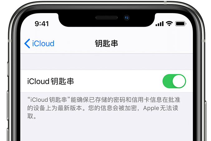 香坊苹果手机维修分享在 iPhone 上开启 iCloud 钥匙串之后会储存哪些信息 