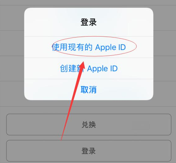 香坊苹果手机维修分享两台iPhone设备可以同时登录一个Apple ID吗 